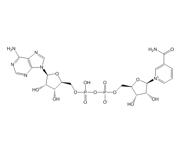 Nicotinamide Adenine Dinucleotide (NAD)