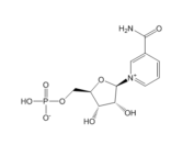 Nicotinamide Mononucleotide