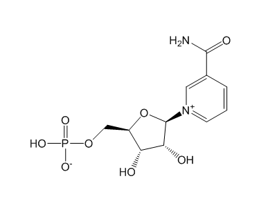 Nicotinamide Mononucleotide