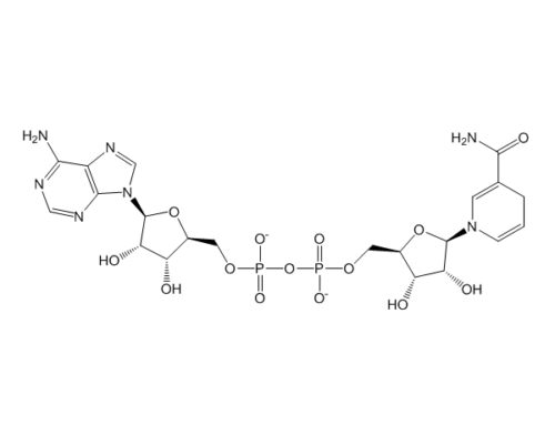 Nicotinamide Adenine Dinucleotide Reduced